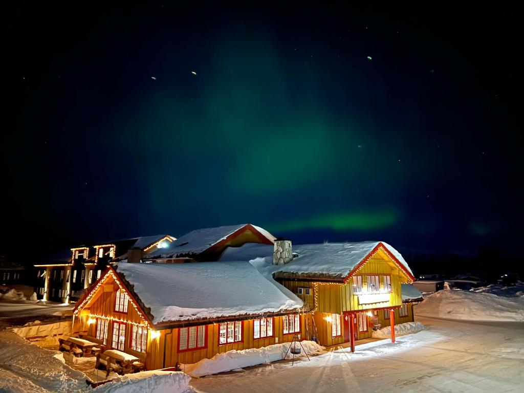霍夫登霍武登菲尔里斯托亚宾馆的天空中北极光小屋