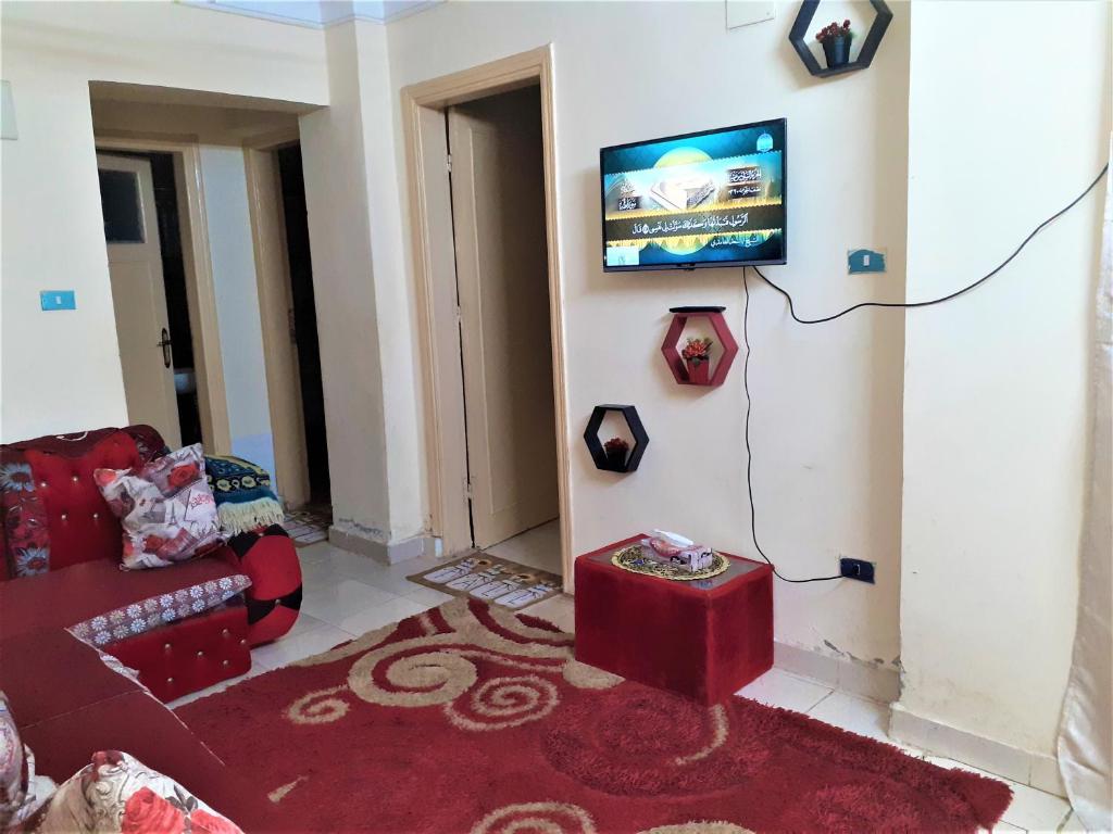 明亚Furnished apartment in Minya的客厅配有沙发和墙上的电视