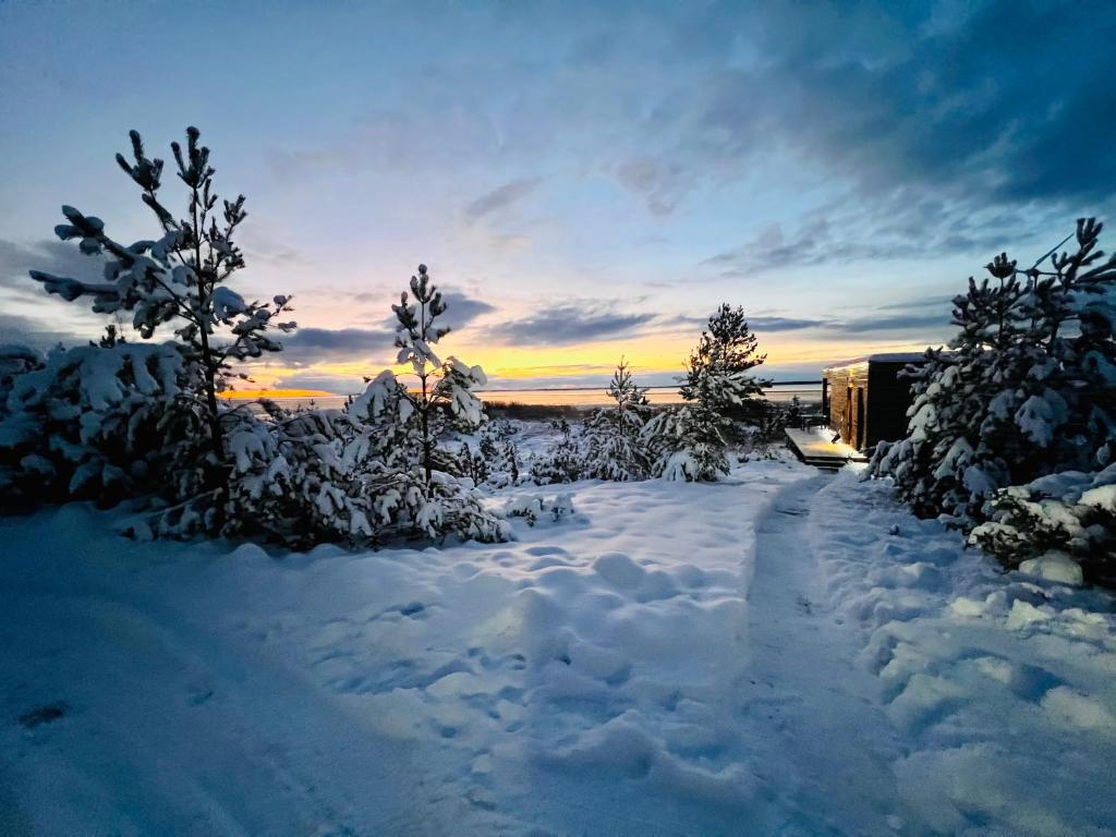 Exclusive off-grid tiny home at the beach - Kenshó的一座有雪覆盖的院子,里面种满了树木,还可欣赏到日落美景