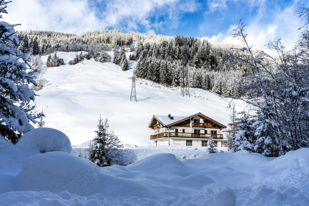 盖洛斯Appart Bergleben-Deluxe ****的雪覆盖的树下山丘上的房屋