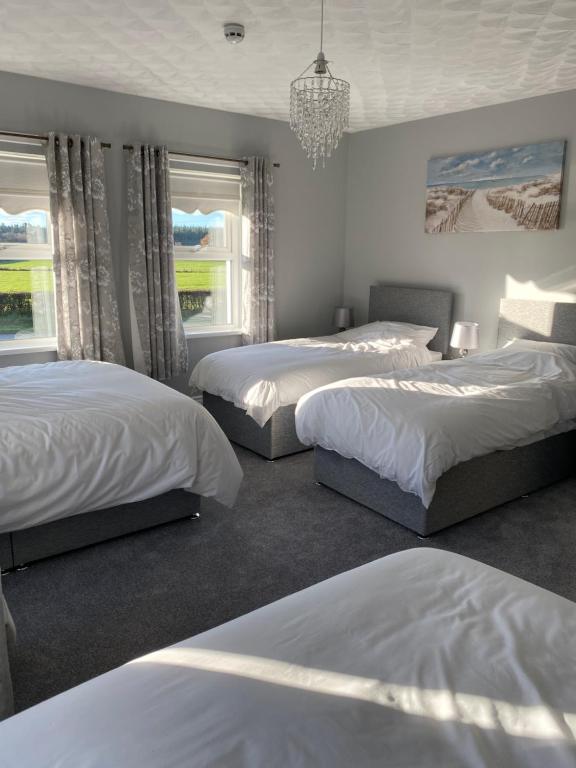 科尔雷恩New Lisnagalt Lodge的一间卧室配有三张床和吊灯。