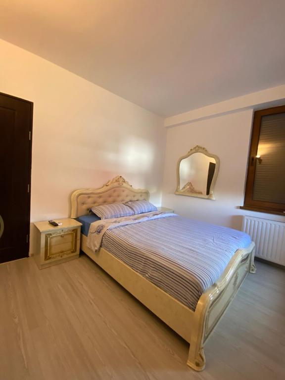 巴克乌Apartament 3 camere的卧室配有一张床,墙上设有镜子
