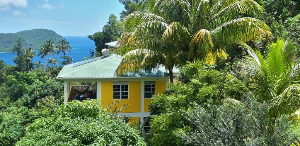 TanetaneMango Garden Cottages的树中间的黄色房子
