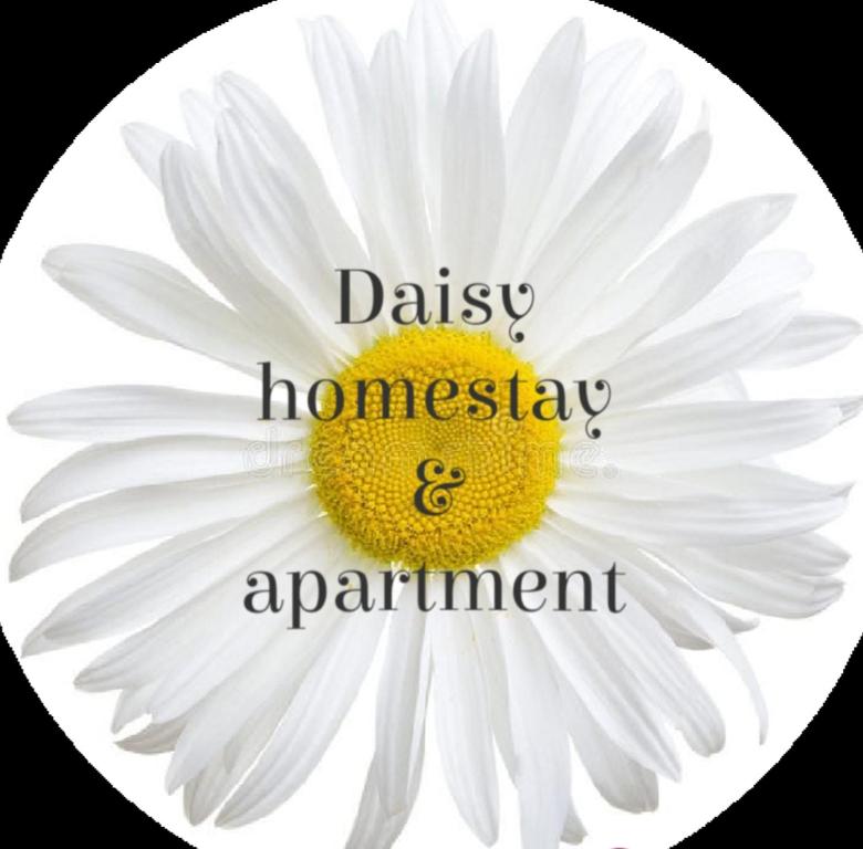 海防Daisy homestay & apartment的白 ⁇ 菊与 ⁇ 菊同学和约会