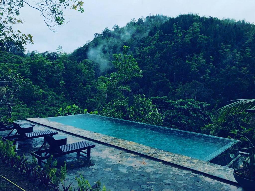 KudaweJansen’s Bungalow Sinharaja Rainforest Retreat的森林中央的游泳池