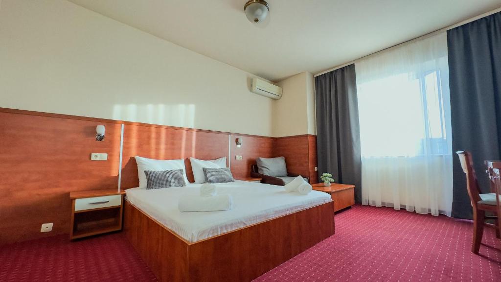 桑丹斯基Dezudava Family Hotel的酒店客房设有一张床和一个大窗户