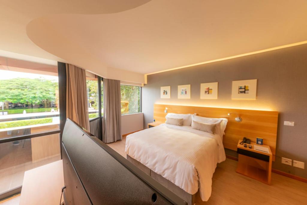 巴西利亚金色郁金香巴西利亚阿尔沃拉达酒店的一间卧室配有一张大床和电视