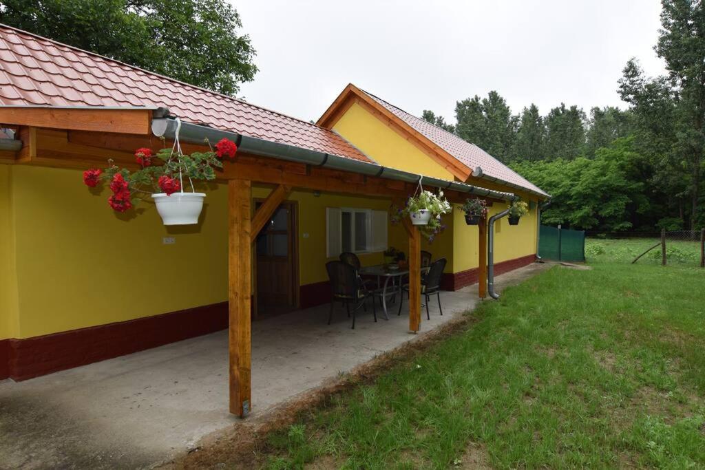 NyársapátBéke Tanya Hongarije的黄色的房子,设有配有桌子的庭院