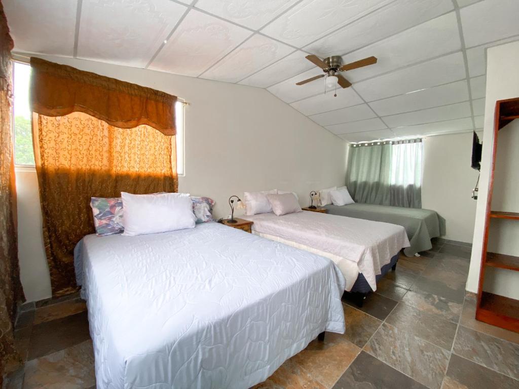 JuayúaMARIA III HOSTAL的一间卧室设有两张床和窗户。