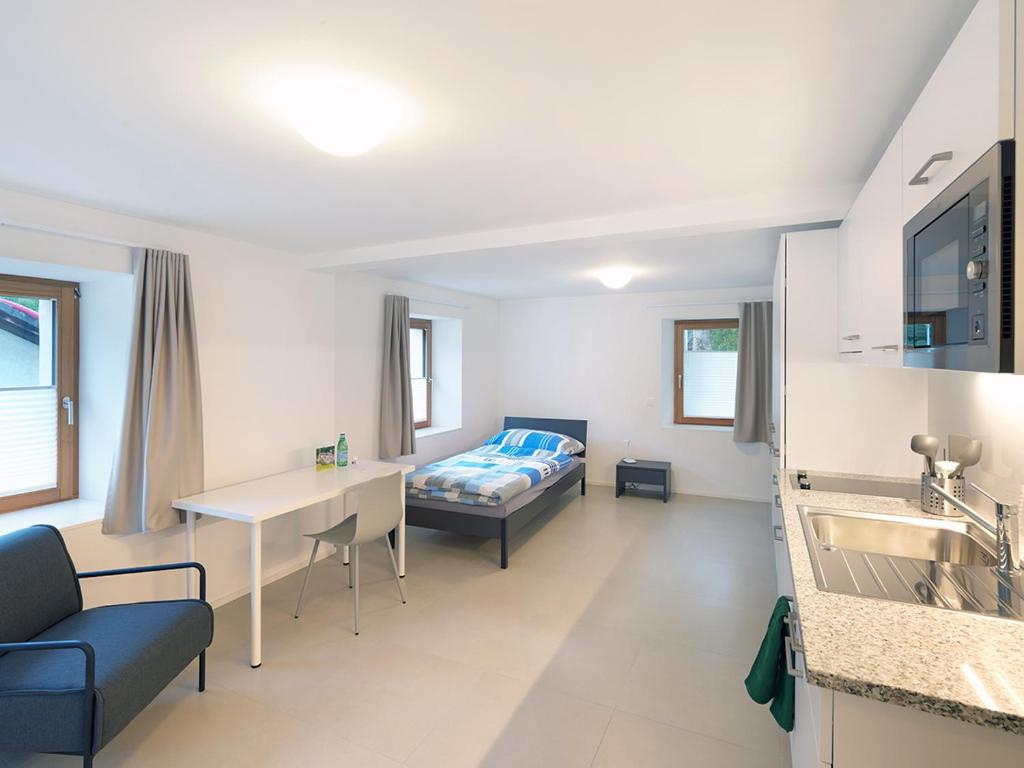 PecciaCasa degli Artisti的配有一张床和一张书桌的酒店客房