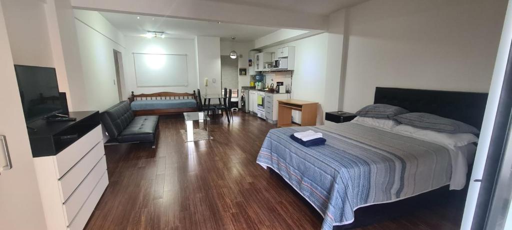 布宜诺斯艾利斯Monoambiente Grande Pedraza2134的一间卧室设有一张床和一间客厅。