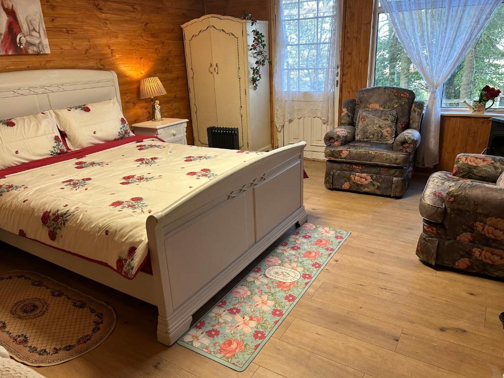 都柏林Cozy room in a barn with farm view的一间卧室配有一张床和一把椅子