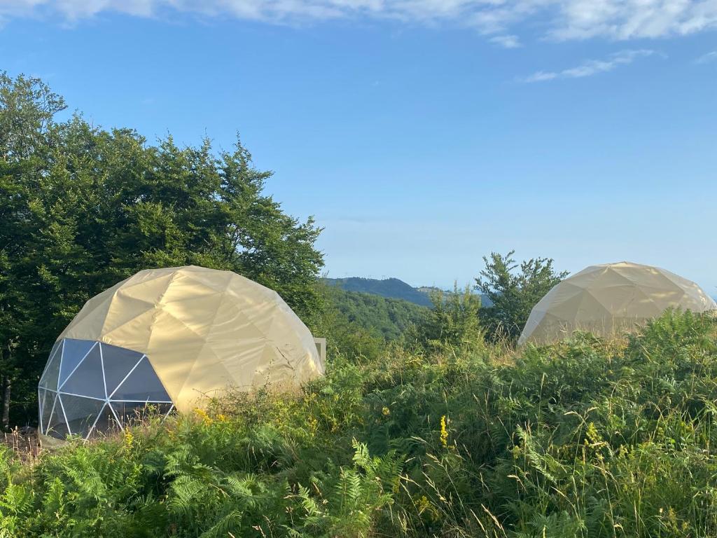 瓦列沃Dome Home Tents Taor的草地上的两个圆顶帐篷