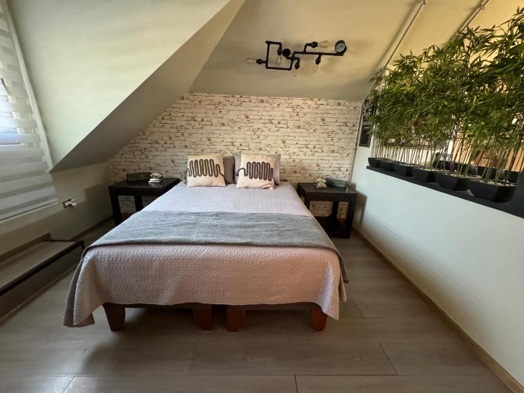 奇廉Gran Apart Hotel Chillan - Monte Piedra - Factura Empresas的一间卧室配有一张带两个枕头的床