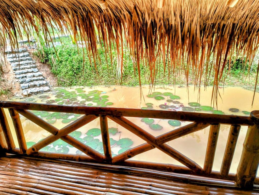 贡布Banteay Srey Women's Only Traditional Spa and Homestay的茅草屋顶庭院,有水池