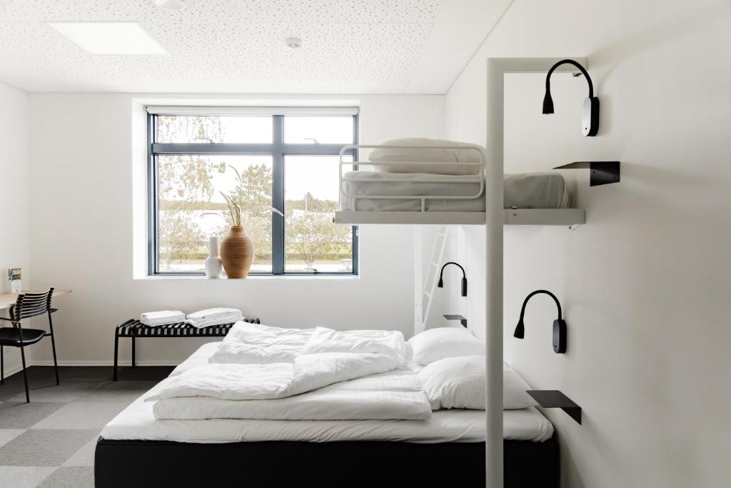 瓦尔德Sportium Sportel的卧室配有双层床,窗户上放着猫