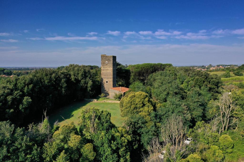 罗马Torre delle Cornacchie的森林中央塔楼高空景观