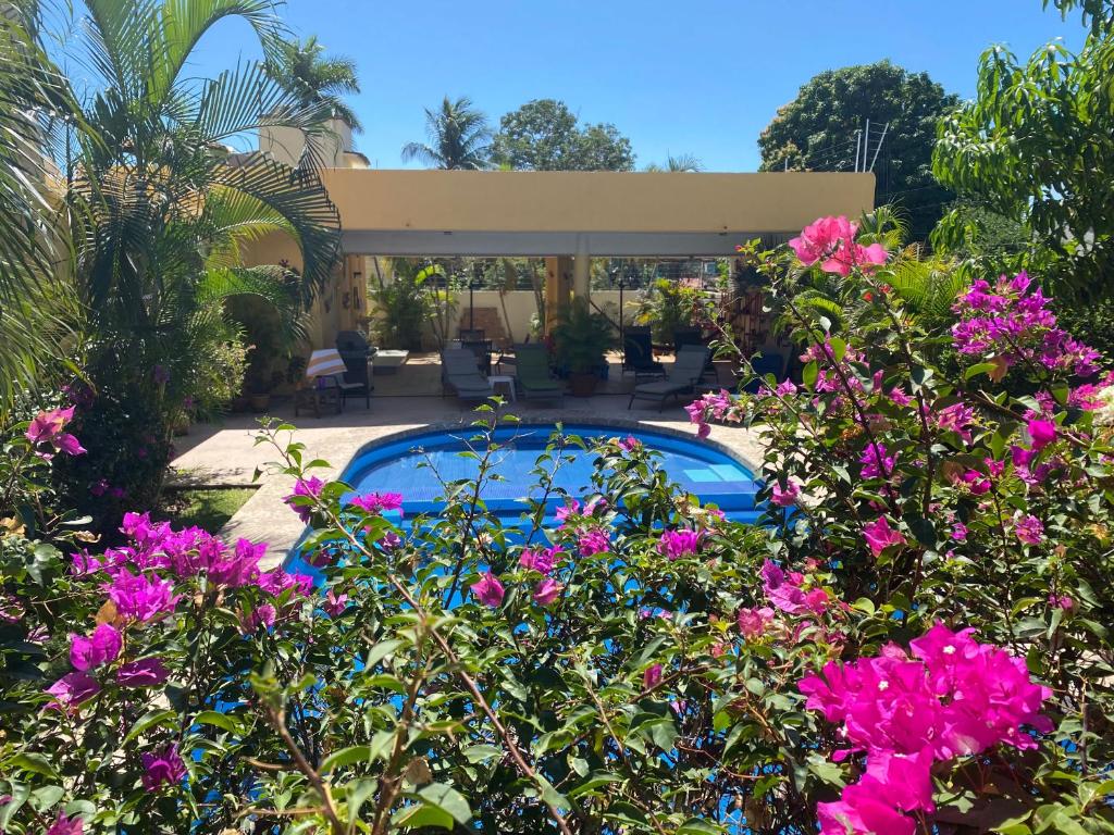 埃斯孔迪多港Zandoyo Bed & Breakfast的一座种有粉红色花卉的花园和一个游泳池