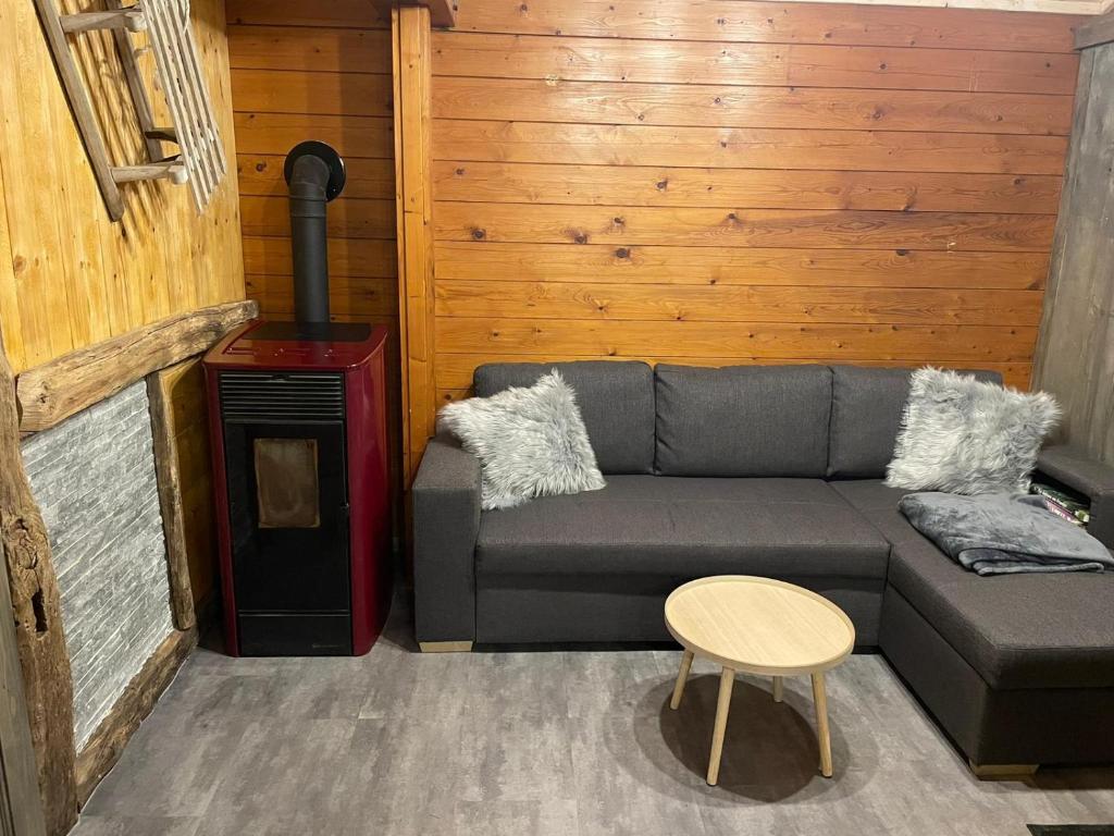 LégnaLe petit chalet du mouralet的带沙发和燃木炉的客厅