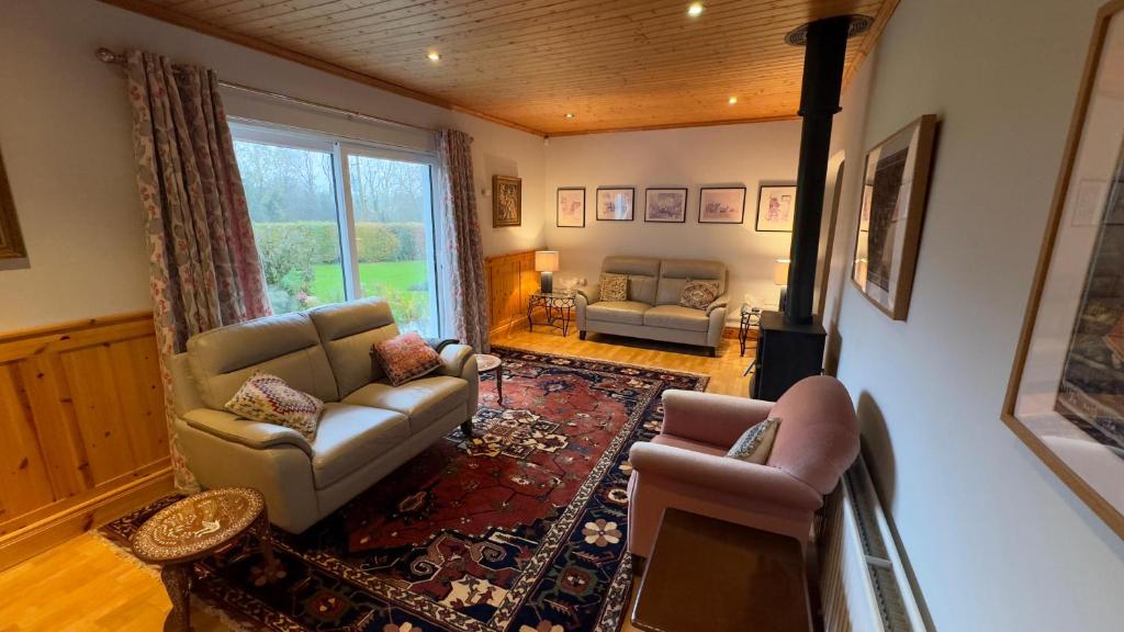 蒂珀雷里Cosy home in a beautiful valley的客厅配有沙发、椅子和壁炉