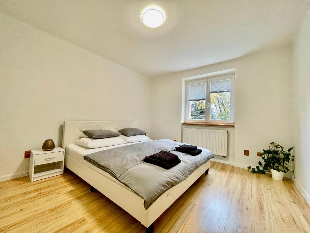 皮耶什佳尼Apartment City Park, 24H Checkin & City Centre w Free Parking的一间卧室设有一张大床和一个窗户。