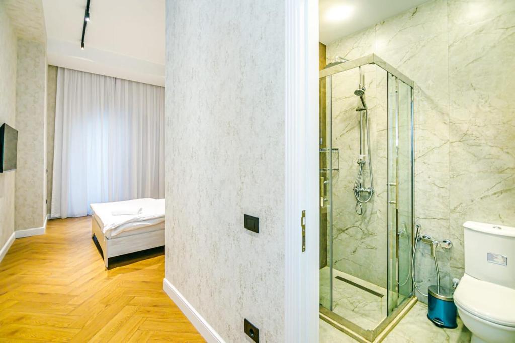 巴库Comfort City center 2 bedrooms的带淋浴和卫生间的浴室