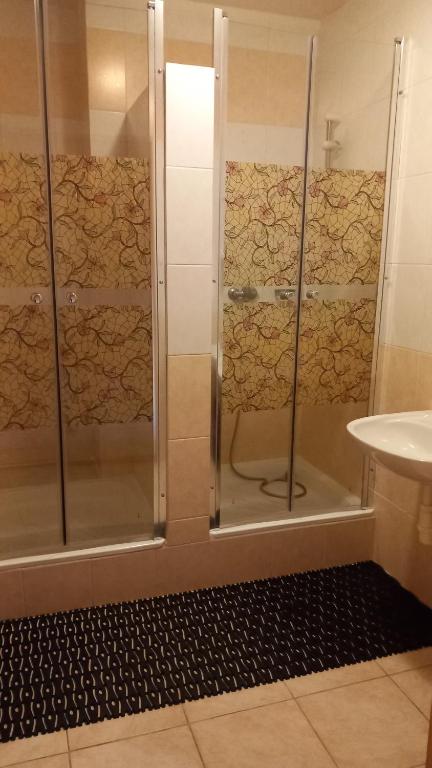 赫拉布斯Privát Čujová的浴室里设有玻璃门淋浴