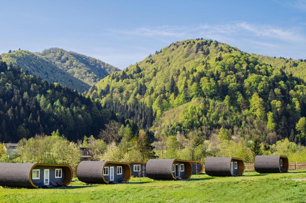 斯基希德尼萨Рибничанка的山地野地里一排野营小屋