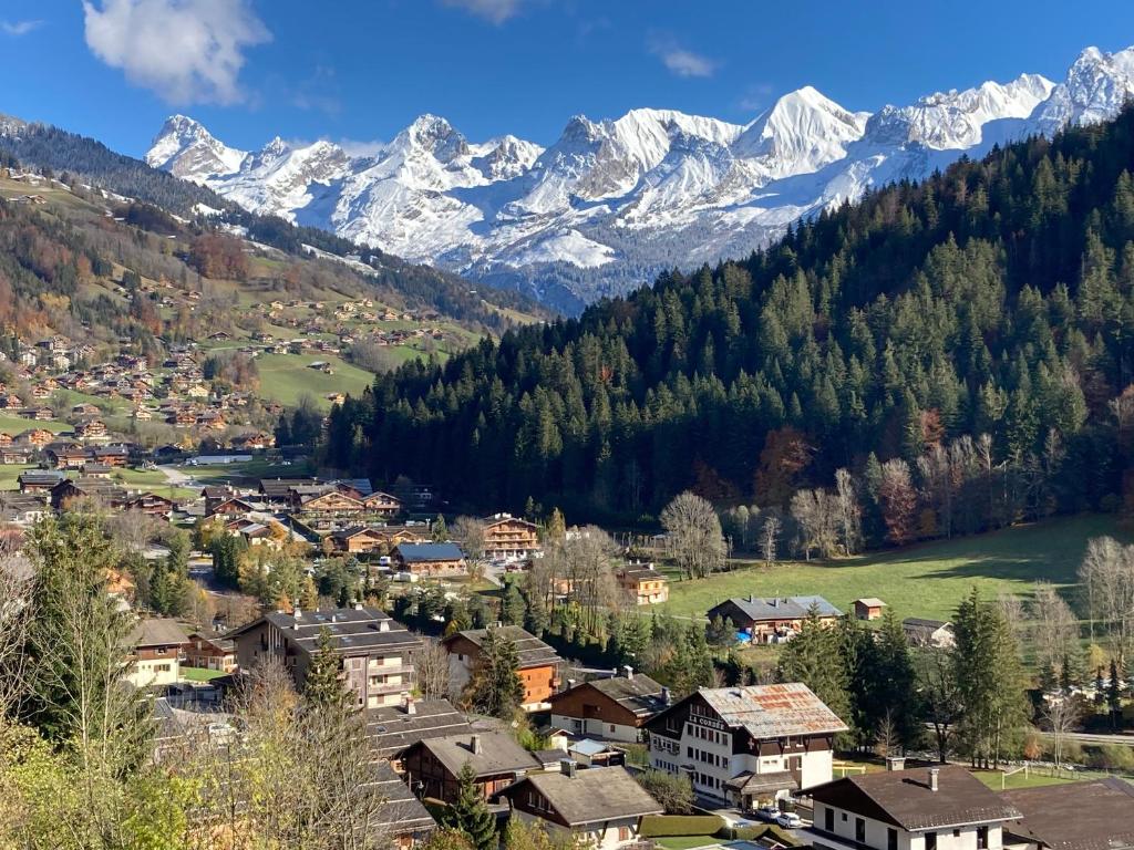 大博尔南Appartement dupleix - 6 personnes - Grand Bornand village的山谷中的一个小镇,有雪盖的山脉