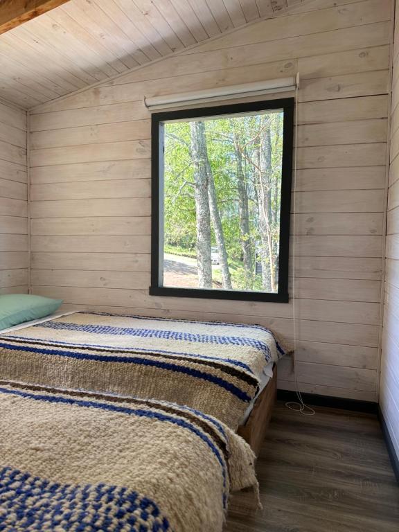 潘吉普伊Tiny House & Loft House的小木屋内一间卧室,带窗户