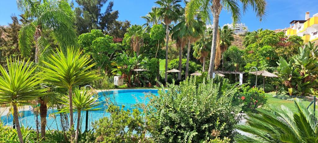 米哈斯El Olive - Calanova Grand golf的棕榈树度假村内的游泳池