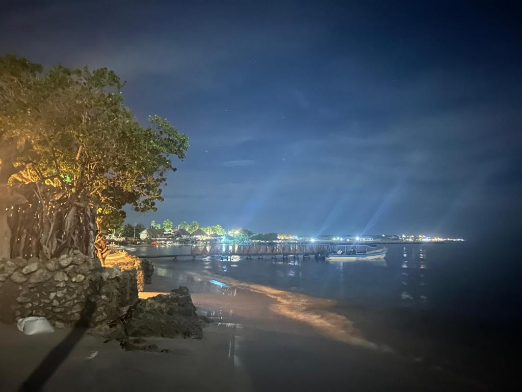 卡塔赫纳Punta Arena EcoHostal and EcoFit – Your Eco-Friendly Oasis 02的夜晚水体的景色