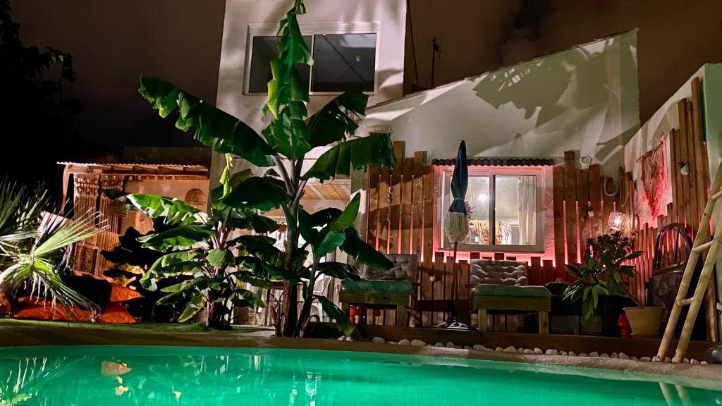 纳博讷Tropical Lodge SPA Narbonne的室内植物游泳池