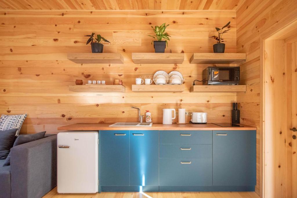 梅斯蒂亚Svaneti Countryside 5的小屋内的厨房配有蓝色橱柜和沙发