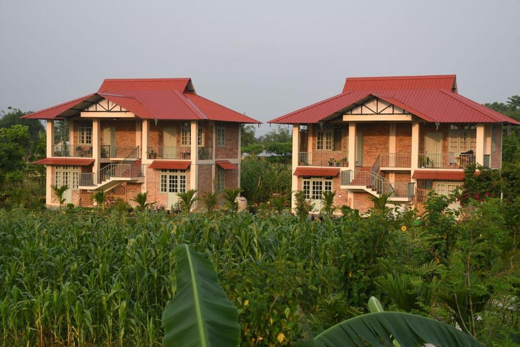 BokākhātMedini Homestay的田野中一排有红色屋顶的房屋