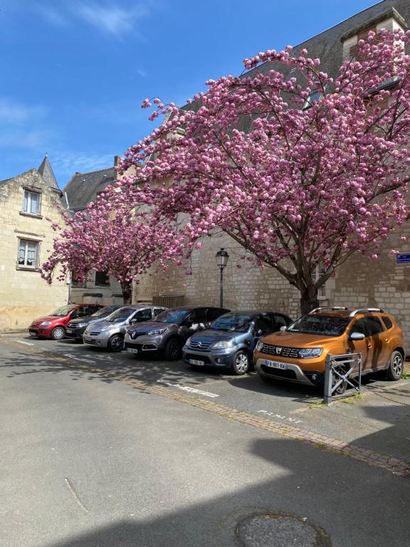 希农Appartement Cosy avec vue sur le château的停在停车场的一排车,车上有一棵开花的树