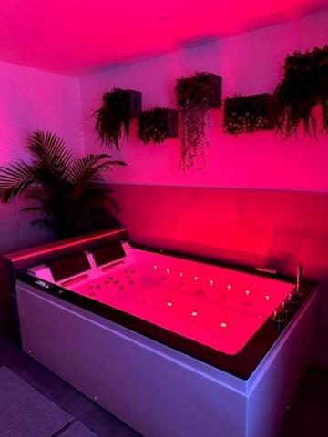 埃皮纳勒Love Room Cocooning & Spa的一间设有粉红色灯床的房间