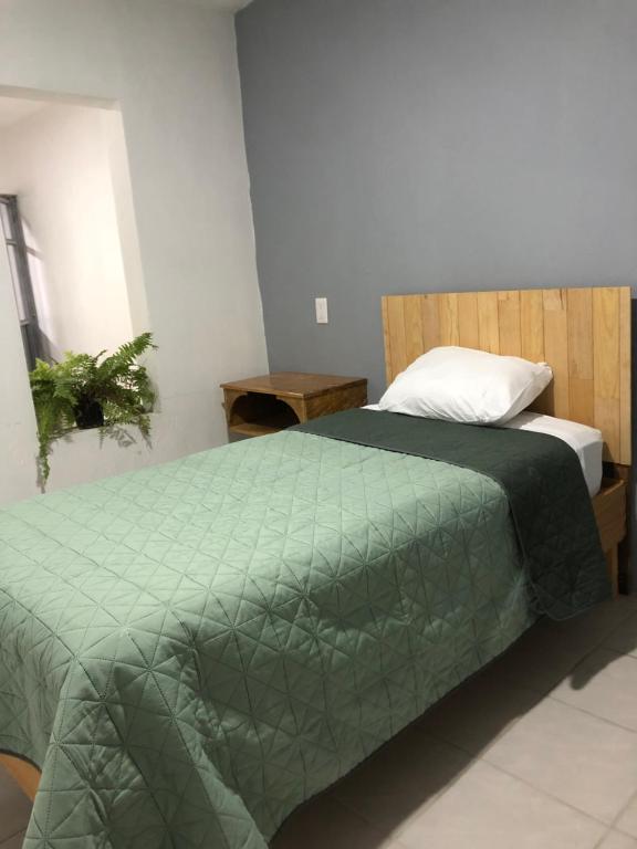 瓜达拉哈拉Casa Tanah的一间卧室配有一张带绿色棉被的床