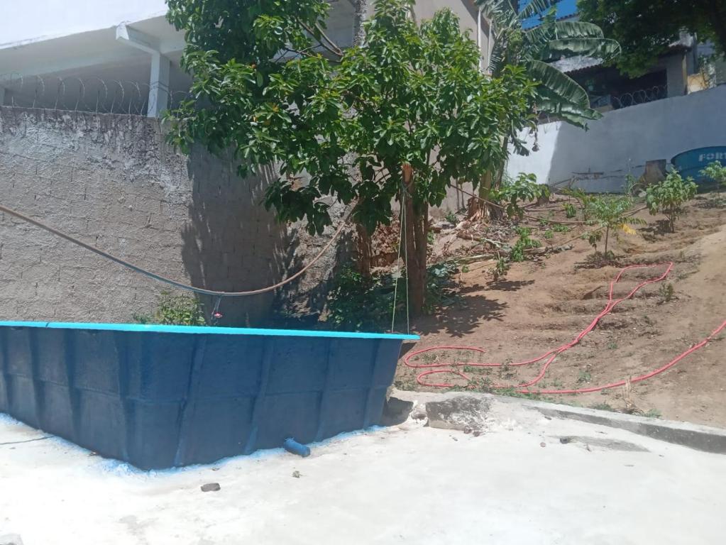 维多利亚Quarto com Duas Camas de casal的蓝种植物在房子前面的树