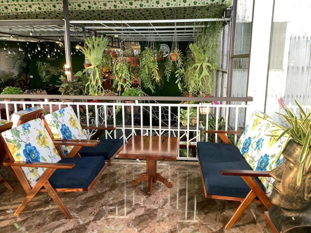 波来古市Anh Tuấn Hotel & Coffee - Pleiku, Gia Lai的庭院的围栏上摆放着椅子和植物