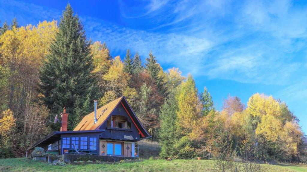 佐尔尼耶戈迪Pravlca (Fairytale Cottage)的山边树木的房子