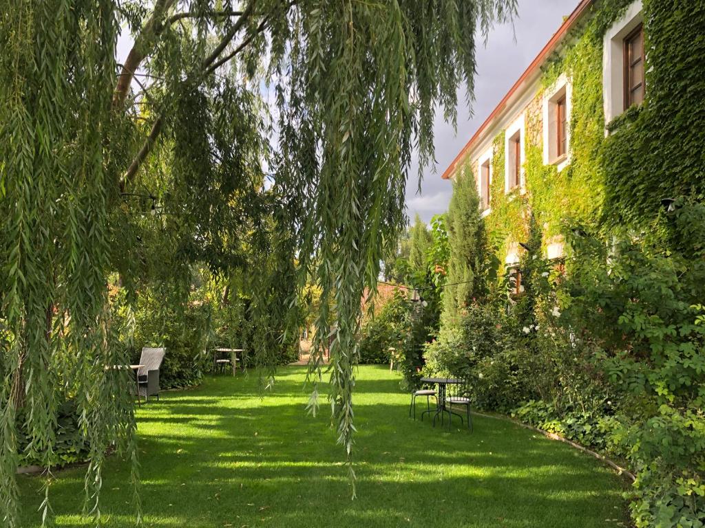 MandayonaEl Cuartel del Rio Dulce的绿色庭院,带长凳和建筑