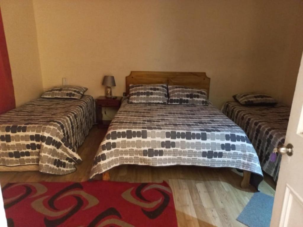 奥瓦列Hotel Arauco Ovalle的一间带两张床的卧室和地毯