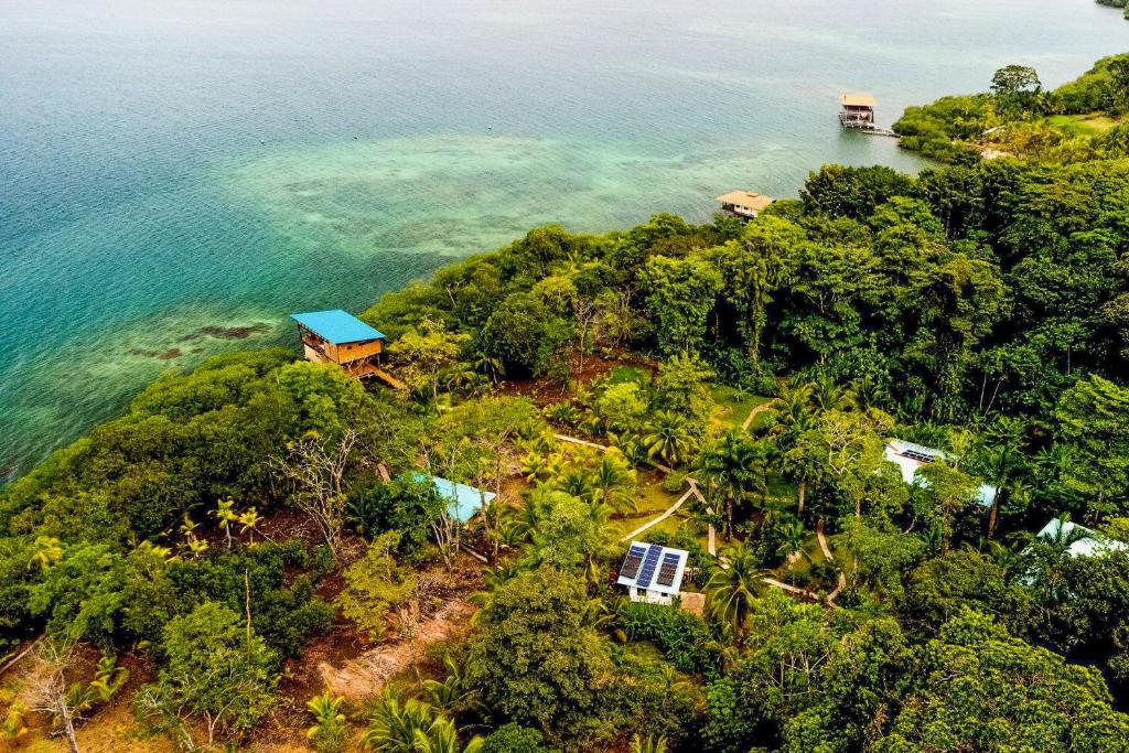 博卡斯德尔托罗Roam Yoga & Wellness Lodge的水面上岛上房屋的空中景观