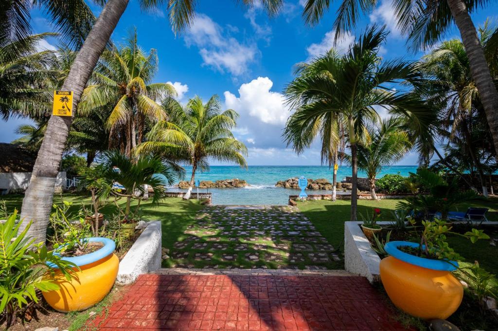 圣玛丽Chrisann's Beach Resort的通往棕榈树海滩和大海的路径