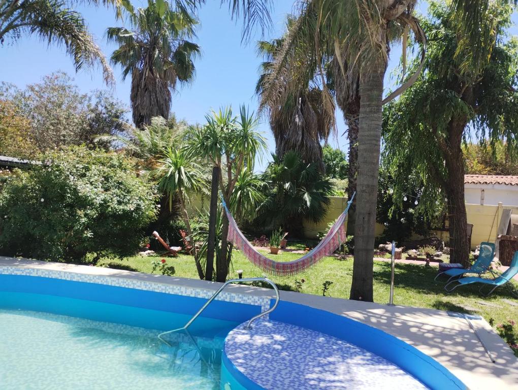 富内斯Zorzales的棕榈树庭院内带吊床的游泳池