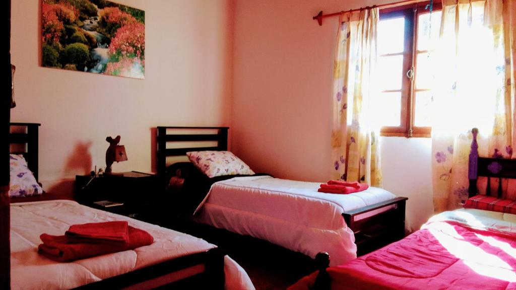 SeclantásLa Posada de Cloe的客房设有两张床和一扇窗户。