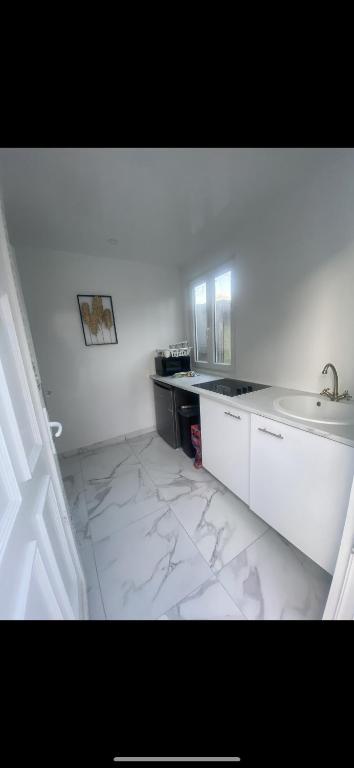 德朗西Appartement beau的白色的浴室设有水槽和台面