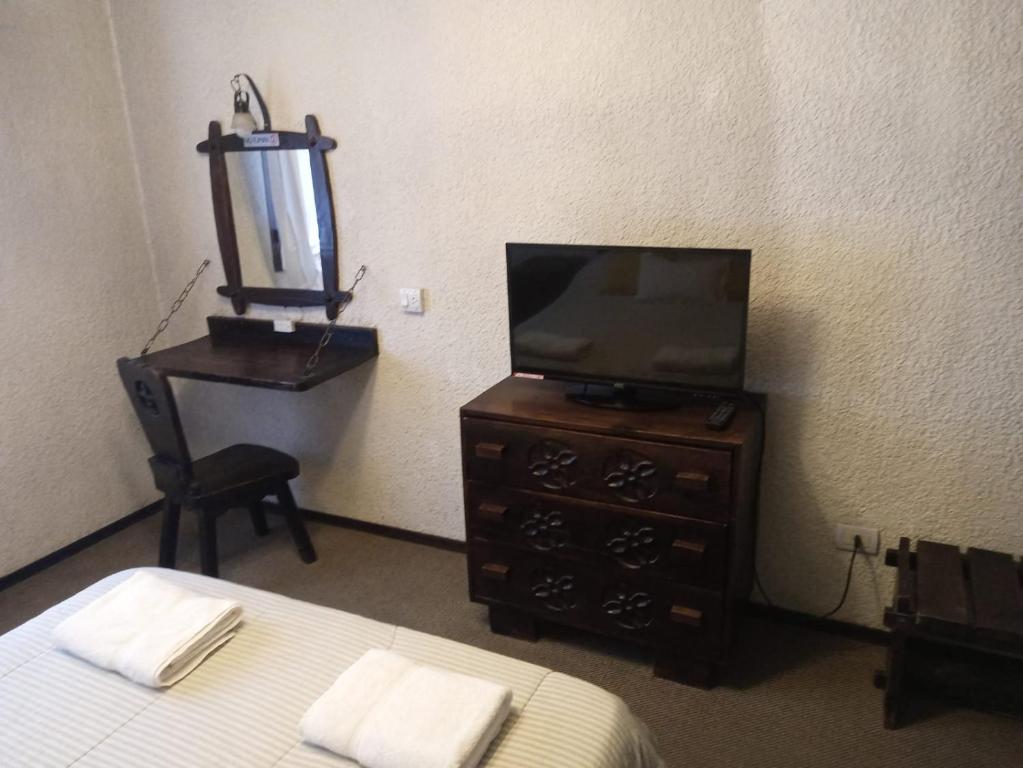 圣卡洛斯-德巴里洛切El Molino的一间卧室配有一张床,梳妆台上配有电视