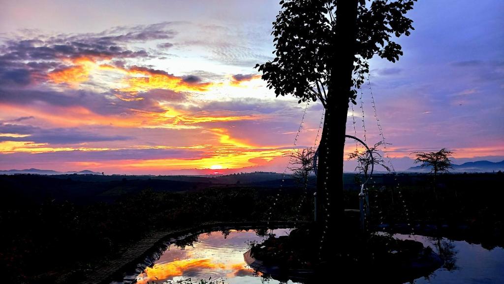 Buôn BedeurNông Trại Về Cội - The Original Farm的夕阳,树倒在水中